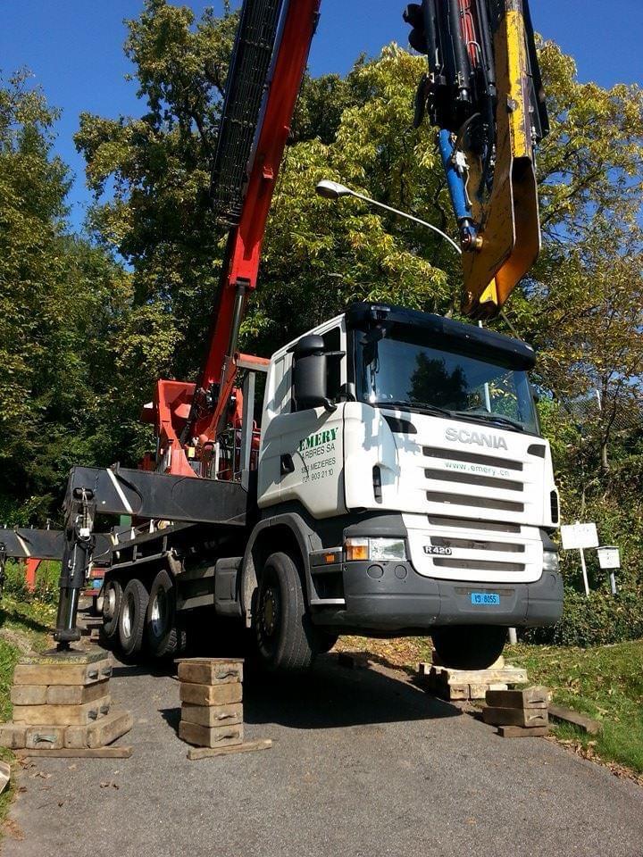 Démontage d'arbre en accès difficile dans le Jura — SAS POLYVIER